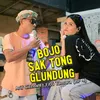 About BOJO SAK TONG NGLUNDUNG Song