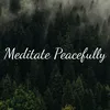 About Meditate Peacefully Song