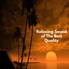 About Relaxing Sound of The Best Quality Song