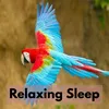 About Relaxing Sleep Song
