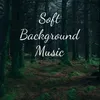 About Soft Background Music Song