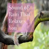 sound of rain that relaxes you