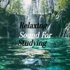 Relaxing Sound Four Studying