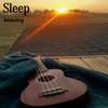 About Sleep Relaxing Song