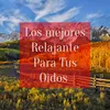 Los Mejores Relajantes Para Tus Oidos