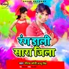 About Rang Daali Sara Jila Song