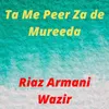About Ta Me Peer Za De Mureeda Song