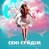 About Сені сүйдім Song