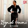 About Neylədim Song