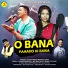 About O Bana Paharo Ki Bana Song