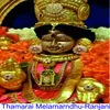 About Thamarai Melamarndhu Dharaniyai Kappavale / Ranjani Song