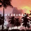 把你藏进晚风旋律 DJ Prog House