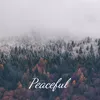 About Peaceful Song