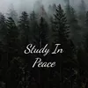 About Study In Peace Song