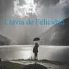 About Lluvia de Felicidad Song