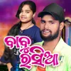 About Babu Rasia Song