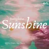 About Bietigheim Sunshine Song