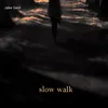 About Slow Walk Song