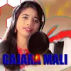 About Gajara Mali Song