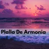 About plalla de armonia Song