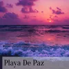 About plalla de paz Song