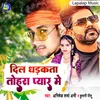 About Dil Dhadkata Tohra Pyar Me Song