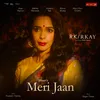 About Meri Jaan From "rk/rkay" Song