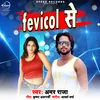 About Fevicol Se Song