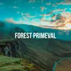 Forest Primeval