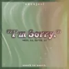 About I'm Sorry Song