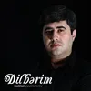 About Dilbərim Song