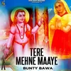 About Tere Mehne Maaye Song