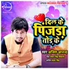 About Dil Ke Pinjra Tod Ke Song