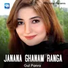 About Janana Ghanam Ranga Song