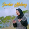 About Jember Malang Song