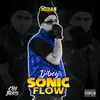 About Sonic Flow Song