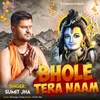 About Bhole Tera Naam Song