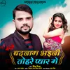 About Badnam Bhayini Tohre Pyar Mein Song