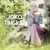 Joko Tingkir