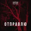 About ОТПРАВЛЮ Song