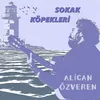 About Sokak Köpekleri Song