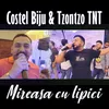 About Mireasa cu lipici Song