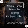 Naray Naray Zrame Pa Tapaose khojege Jalkai
