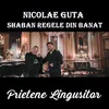 About Prietene Lingusitor Song