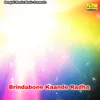 About Brindabone Kaande Radha Song