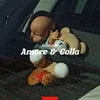 About Amore e colla Song