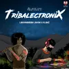 About Alfulut TribalecTroniX Song