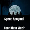 Spene Spogmai