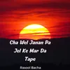 About Cha Wel Janan Pa Jel Ke Mar Da Tape Song