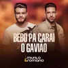 About Bebo Pa Carai / O Gavião Song